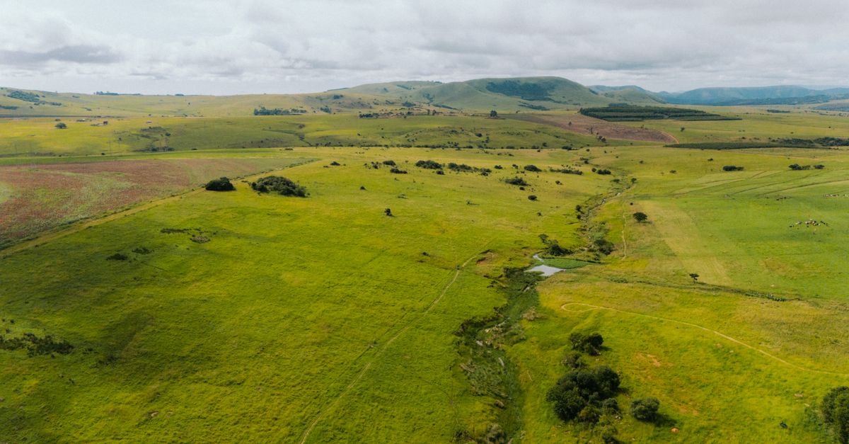 South Africa Scraps AI Policy After Discovering Fabricated Sources